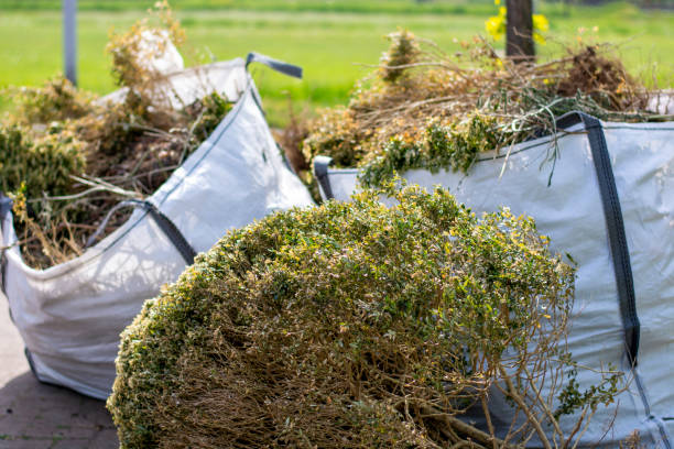 Best Commercial Junk Removal  in Junction City, KY