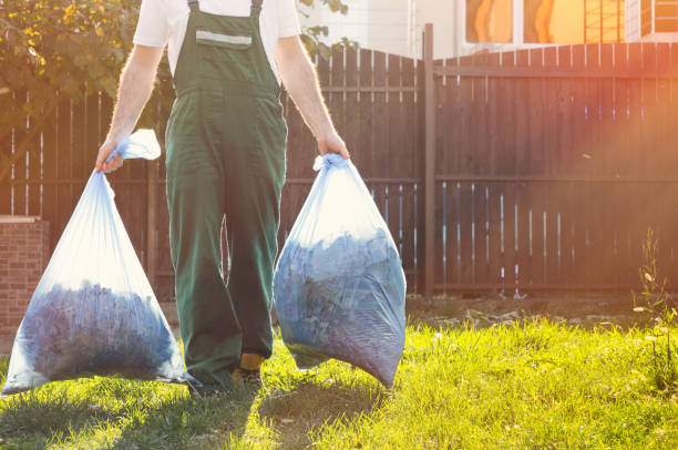 Best Shed Removal  in Junction City, KY